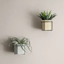 Ferm LIVING Plant Holder Kasviteline, Musta -Fatboy Emu Kauppa 654FermLiving iso