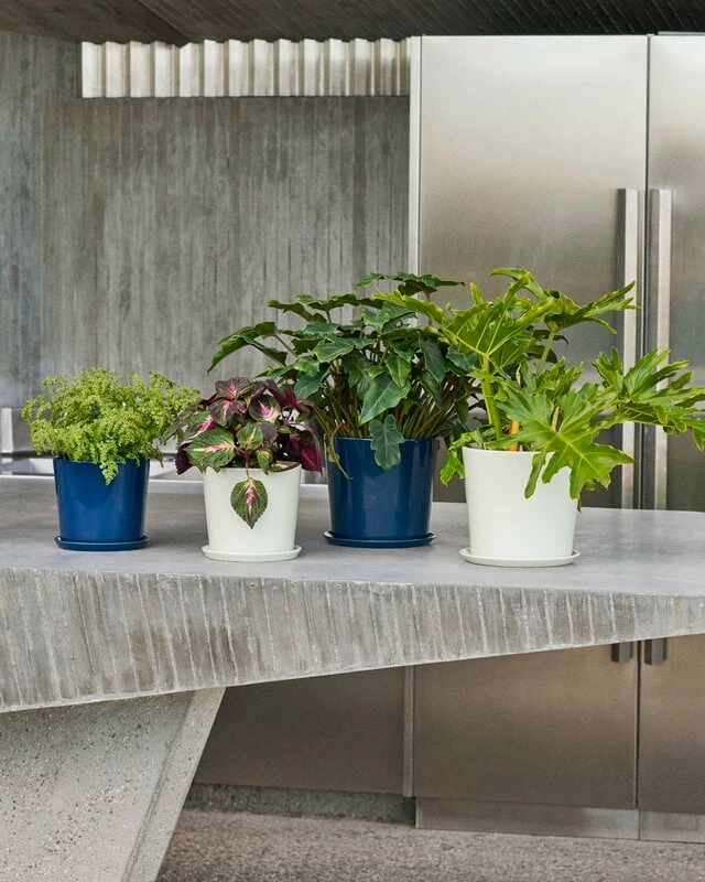 HAY Botanical Family Ruukku Ja Lautanen, L, Tummansininen - Image 6