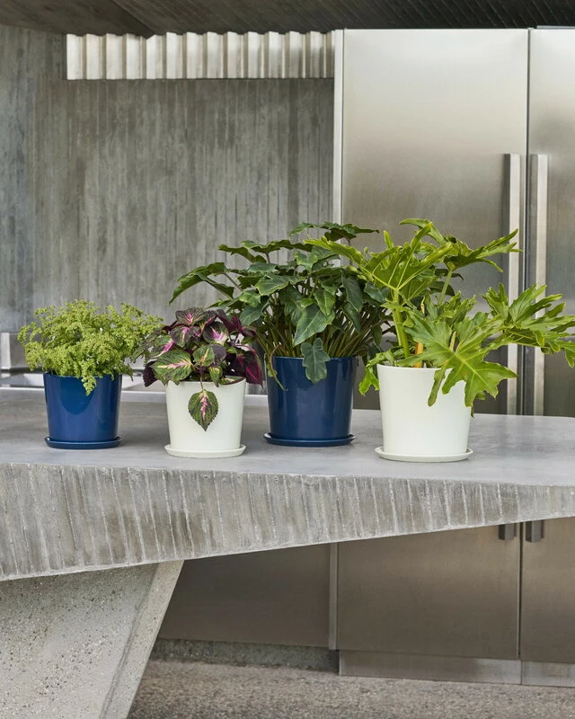 HAY Botanical Family Ruukku Ja Lautanen, M, Tummansininen - Image 3