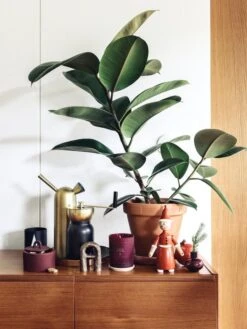 Klong Svante Kastelukannu, Messinki -Fatboy Emu Kauppa Fds joulu1718 media