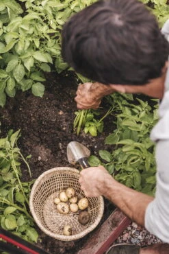 Fiskars Xact Istutuslapio, Leveä -Fatboy Emu Kauppa Fiskars Garden Action Summer Harvest Xact Trowel 1027043 01