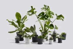 HAY Flowerpot Ruukku Ja Lautanen, M, Harmaa -Fatboy Emu Kauppa Flowerpot Family 4