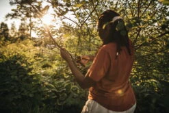 Fiskars X-Series Oksasakset L, P961 -Fatboy Emu Kauppa Gardening Action X Series Pruner Bypass P961 1057175 04