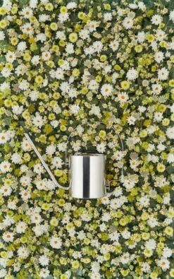 Stelton Original Kastelukannu -Fatboy Emu Kauppa LS 100 15 Original flower watering can 1 28129