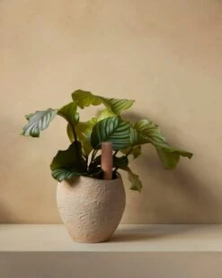 MENU Hydrous Kastelupiikki, 36 Cm, 2 Kpl -Fatboy Emu Kauppa MENU Plantas Planter Hydrous Watering Stick