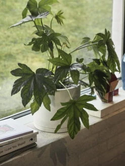 HAY Plant Pot Ruukku Ja Lautanen, XXL, Valkoinen -Fatboy Emu Kauppa Plant Pot with Saucer off white