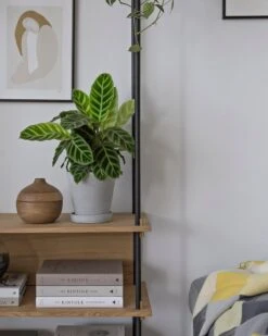 HAY Flowerpot Ruukku Ja Lautanen, M, Harmaa -Fatboy Emu Kauppa design stories x my full house 4