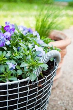 Korbo Istutuspussi 24, 3 Kpl -Fatboy Emu Kauppa korbo Classic 24 Pansy